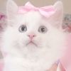 sweetgrlie