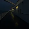larwzixm_