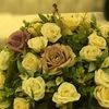 muneera288
