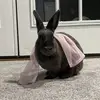 hufflee