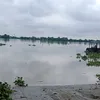 thanhthuan90