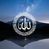 ahmad.h58