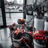 jawaher_xxiiz