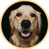 missgoldenmolly