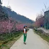 minh.minh.686