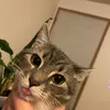 bootsiebear