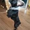 baddy._.buldog
