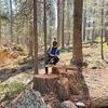 Ariel villatoro 🌲🪵