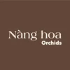 Nàng Hoa Orchids