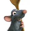ratatujek17