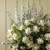 ghada_988