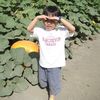 _josephkwok