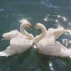 hanakazari