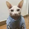 halrjjs