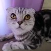 rimkina