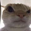 mattmattlamalice