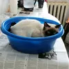 nina_alex1982
