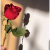 eruourwqtjbxsd
