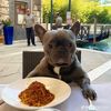 leo.zwiener