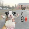 islilshorty