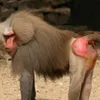 liamlowe34