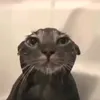 _isageradaf