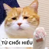 meooo86