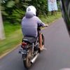 gambreng51