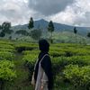 dewii_andanii