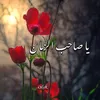 .are.yuzz
