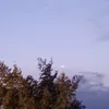 hassan_rl9