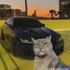 ftiktok.comfgdh