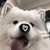 hehemuaflo