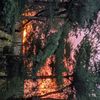 paytonfirestone