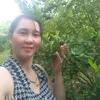 hanhho012