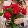 zeynebb75