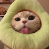 dino_nuggggies