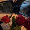 dodi_harb