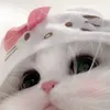 seichan_150