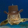 cryptozoologist_cowboy