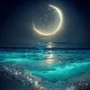 user12041570192376