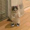 wee_7897