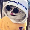 anphuong102