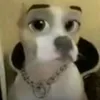 tobybeatproduce20