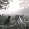hixvr13