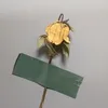 kanedang