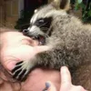 derpygunboi