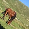 monura.h