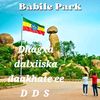 dhman11111