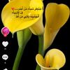 userhhqdbwhrte